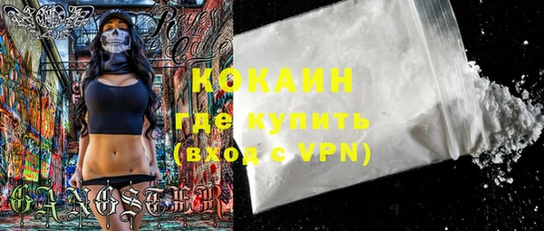 крисы Верея